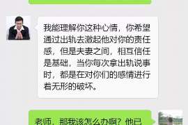 石楼侦探取证：夫妻共有财产分割原则